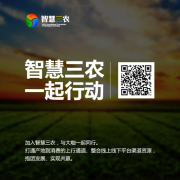 互联网人这么读2018中央一号文件