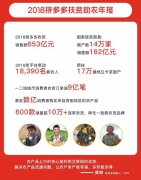 拼多多帮扶下的中国乡村：货卖走 人留下